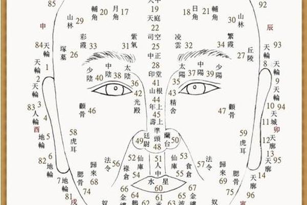 男人身体痣相最准图不好—全身痣相图解大全